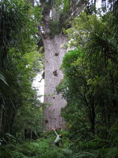 Jeannine vor dem "Godfather of the Forest"!