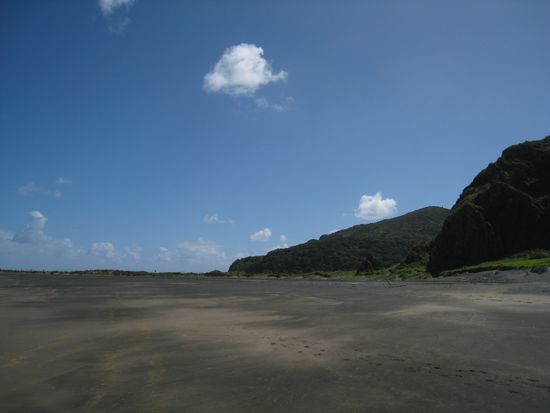 Der schoene Strand von Whatipu...