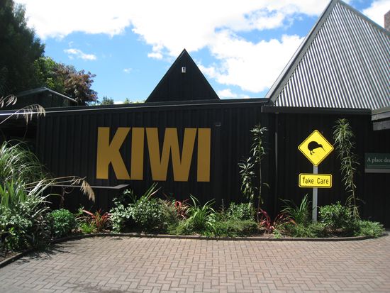 der Kiwi Encounter...