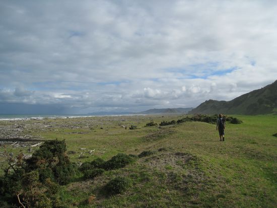 Alleine in der Wildnis...