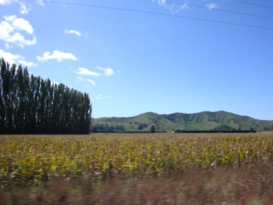 Aussicht aus unserem schwarzen Flizer...