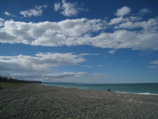 Beach von Napier, wo wir unser feines Picknick genossen...