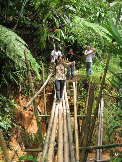 Ein Hindernisparcour ist nichts im Vergleich zu unserer Dschungelwanderung...