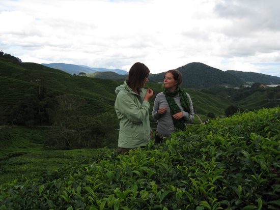 Wir mussten alles ausprobieren... 