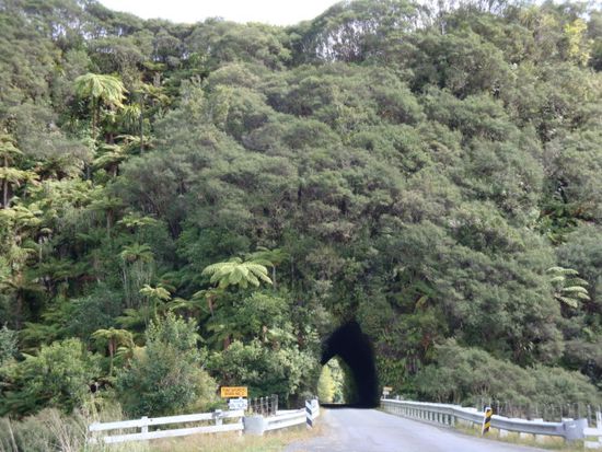 Ein neuseelaendischer Tunnel auf dem Forgotten World Highway.