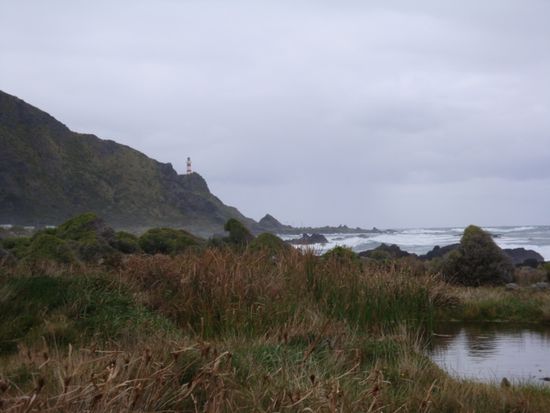 Cape Palliser