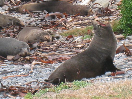 hier wird gerade gezeigt wer der Boss ist! 