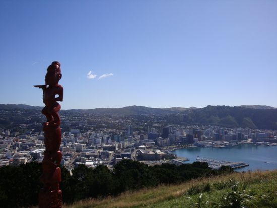 Sicht auf Wellington vom Mount Victoria