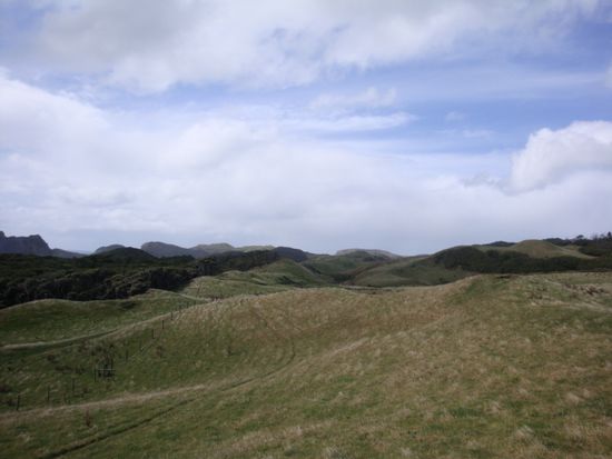 die Huegel hinter dem Wharariki Beach... hier laesst es sich gut wandern...