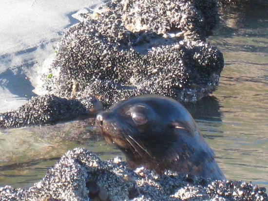 ... liessen sich von uns nicht stoeren!
