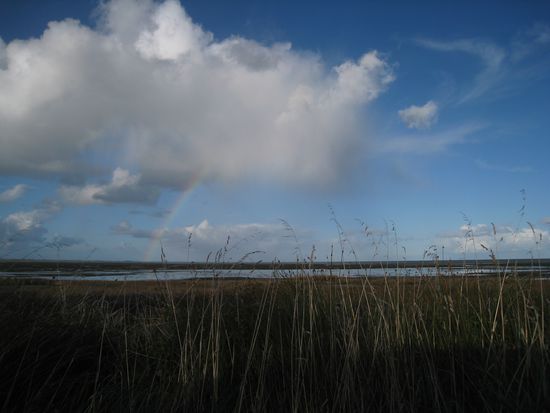 auf dem Rueckweg... hier war die Welt noch in Ordnung...