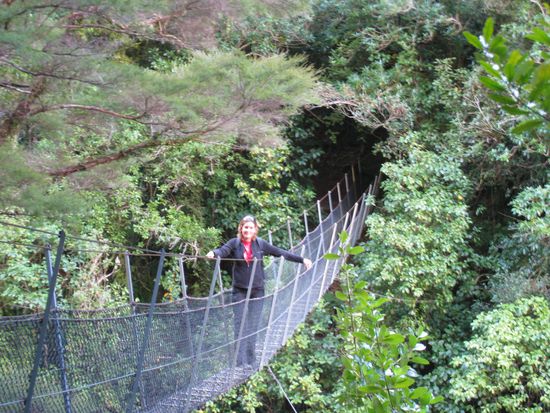 auf dem Weg zum Wainui Fall... oh-oh...