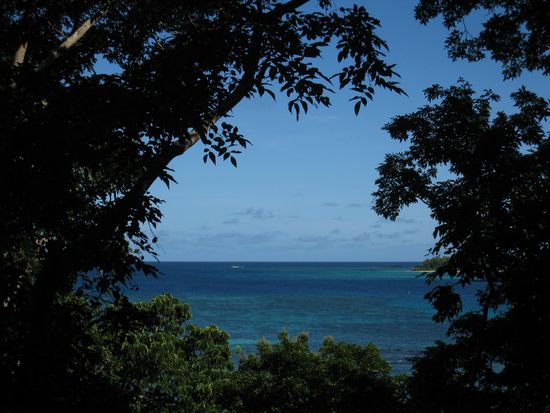 Die Aussicht aus unserem traditionellen Tree-Top-Bure... Nicht schlecht Herr Specht! 