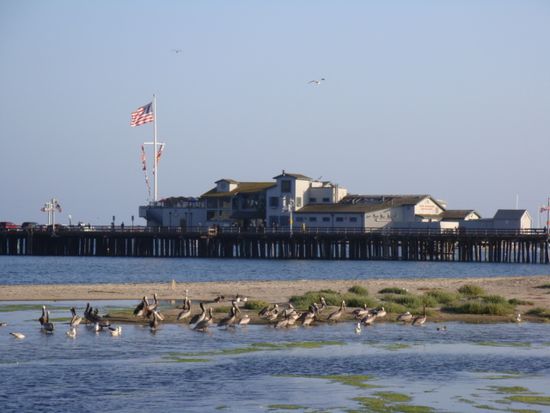 das Pier!