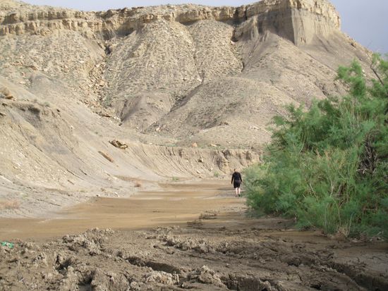 ... end of the road! Corinne hat jedoch die Hoffnung auf ein Durchkommen noch nicht aufgegeben!