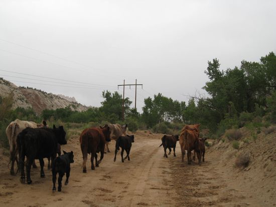 ... auf dem Rueckweg...