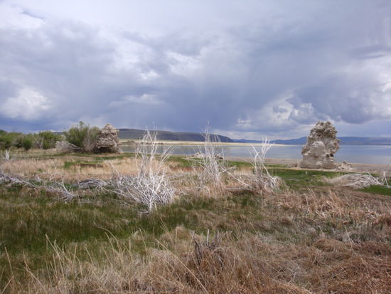 der Mono Lake!