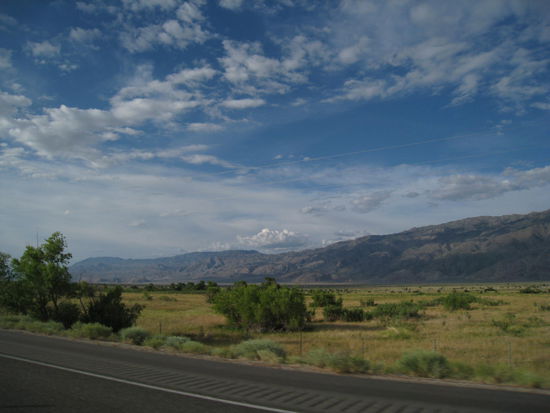 ...nach der "Todesschlucht" war es wieder richtig schoen etwas Gruen zu sehen!