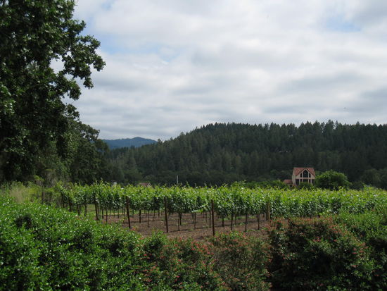 nochmals die Landschaft...