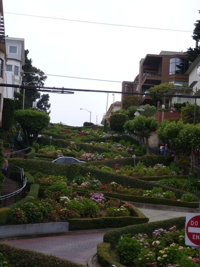 und hier sieht man die beruehmte "Lombard Street", die sich im zick zack mitten durch ein Wohnviertel schlaengelt! Moechte bei diesen vielen "Touris", die taeglich hierher pilgern auch nicht hier wohnen...