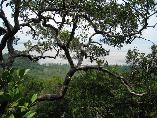 Es hat sich definitiv gelohnt... die Aussicht!