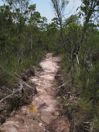 Die Vegetation hat sich immer wieder veraendert... mal so...