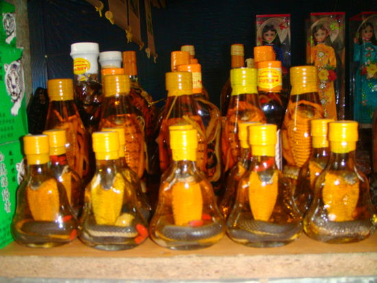 schlangenwein