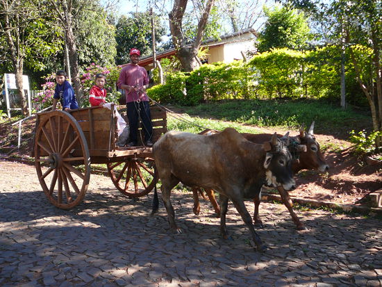 Lieferservice fuer den Supermarkt vor Ort.