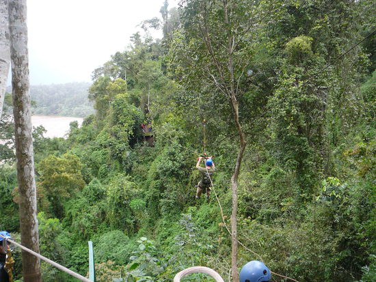 Danach auf einer Seilbahn 90 Meter weit und 45 tief ueber den Regenwald. Dabei hatte man eine tolle Aussicht.