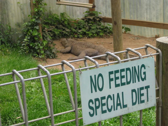 wildlifepark in ballarat