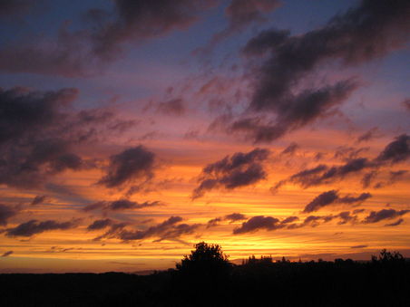 lennox head