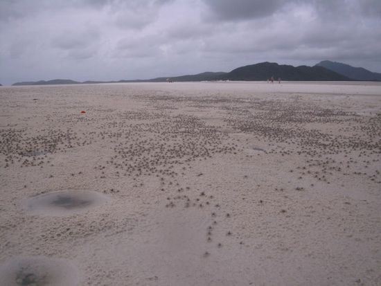 "herr-der-ringe-grosse-krebs-armeen"