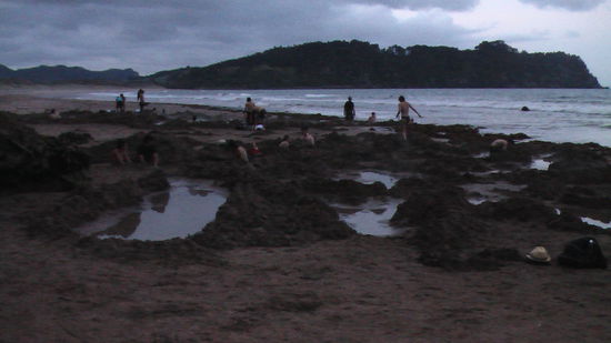 selfmade pools am hot water beach