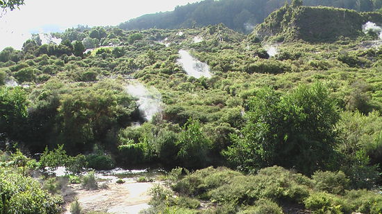 in rotorua sieht man den gestank foermlich