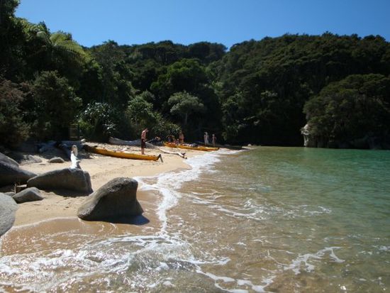 kayaken im abel tasman nationalpark