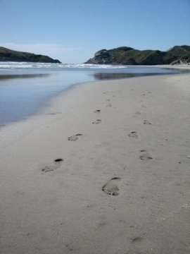 hier kann man wirklich noch seine eigenen fussspuren hinterlassen, wharariki beach (in der naehe von golden bay)
