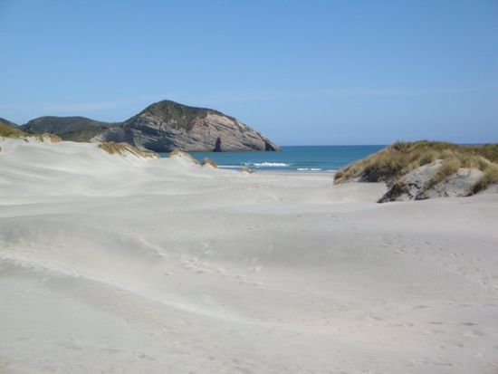 wharariki beach