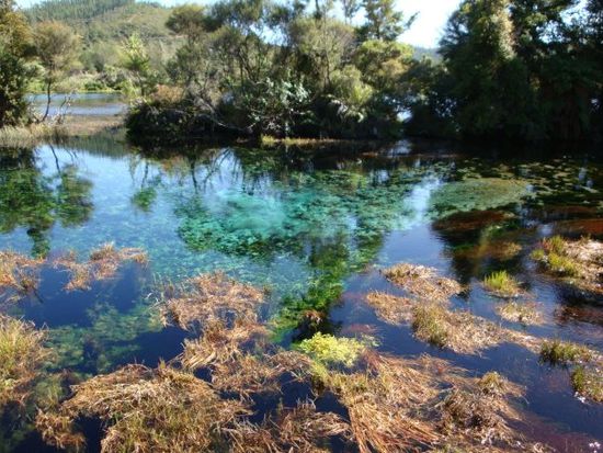das angeblich klarste quellwasser der welt, golden bay