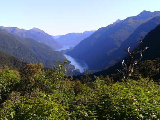doubtfull sound von oben
