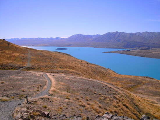aussicht von mount john auf lake tekapo...das wasser sieht wirklich so krass blau aus