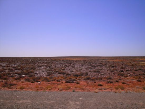 zwei tage lang fast das gleiche bild aus dem busfenster