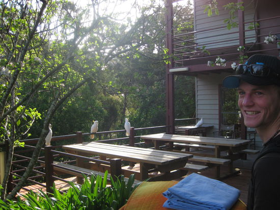 ankunft im dschungel-hostel