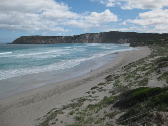 addi allein auf weiter flur am pennington bay (dort haben wir dann einige tage spaeter die delphine gesehen)