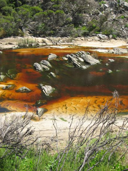 feuerrotes wasser an der snake lagoon