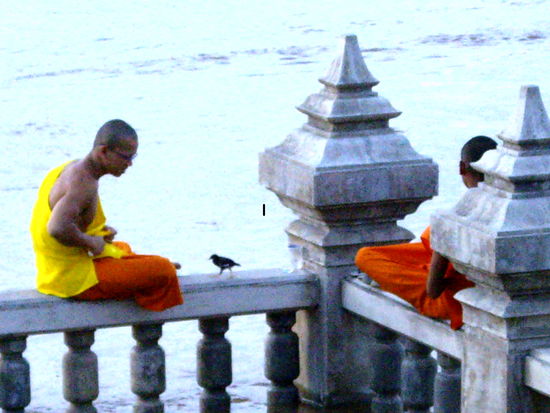 Moenche am Mekong mit Vogel