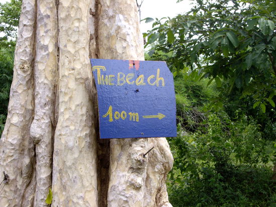 Leonardo DiCaprio kommt auch gleich!