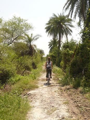 Radeln durch den Keoladeo Ghana Nationalpark!