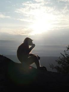 Schoenes Bild oder?