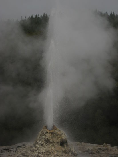 Lady Knox geyser in Rotorua