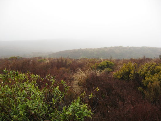 wie man sieht, konnte man nicht viel sehen 